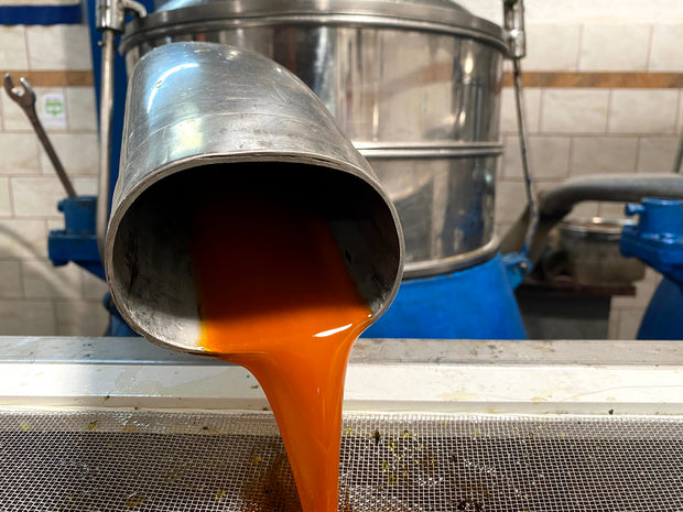 Cold Fused - Chili Pepper Greek Olive Oil - 250ML